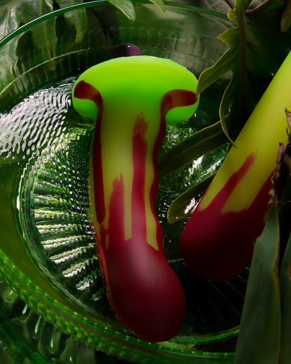 Petunia, Glow yellow and green fade with red drip, medium firmness, with bullet vibe